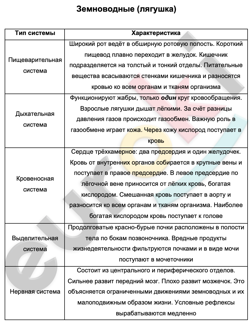 Таблицa по биологии 7 класс Земноводные (лягушка) with low confidence