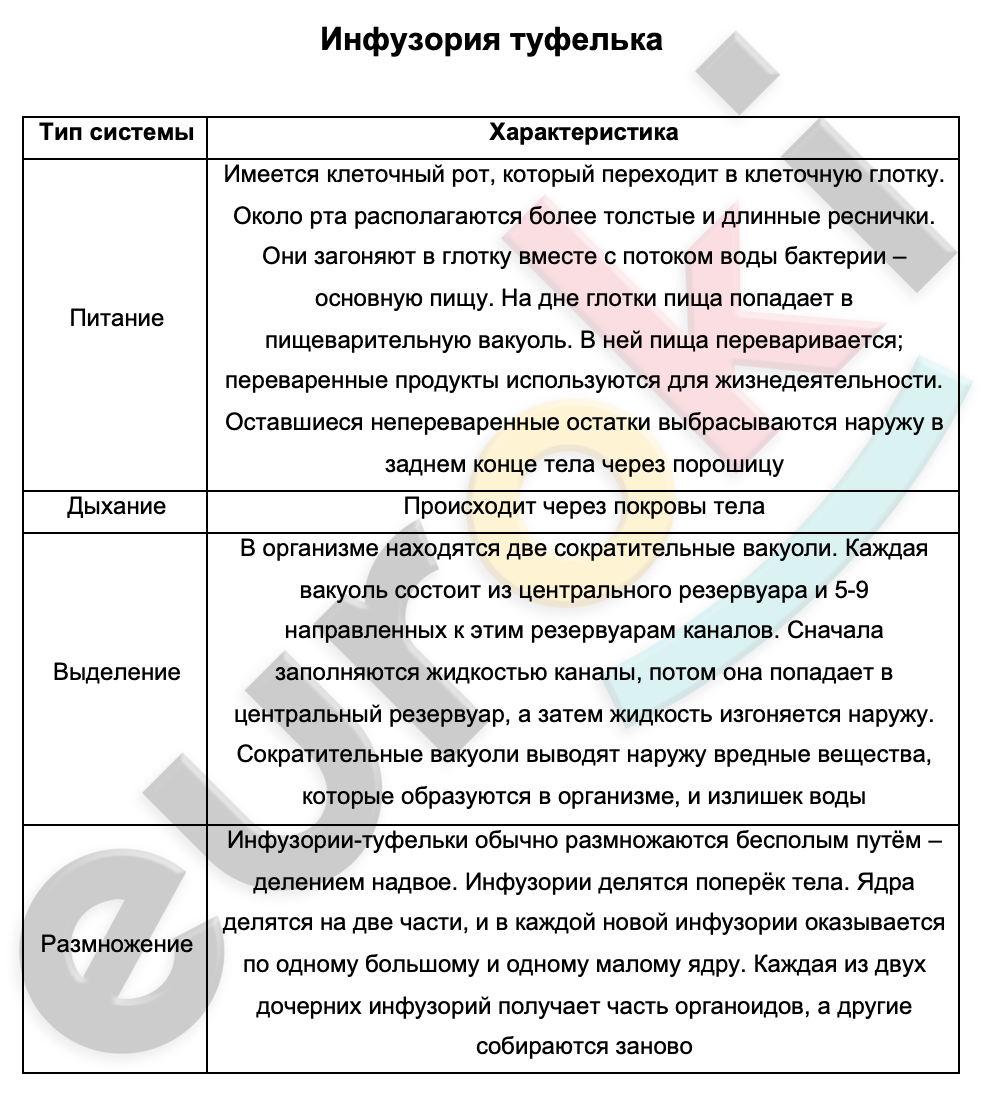 Таблицa по биологии 7 класс Инфузория туфелька