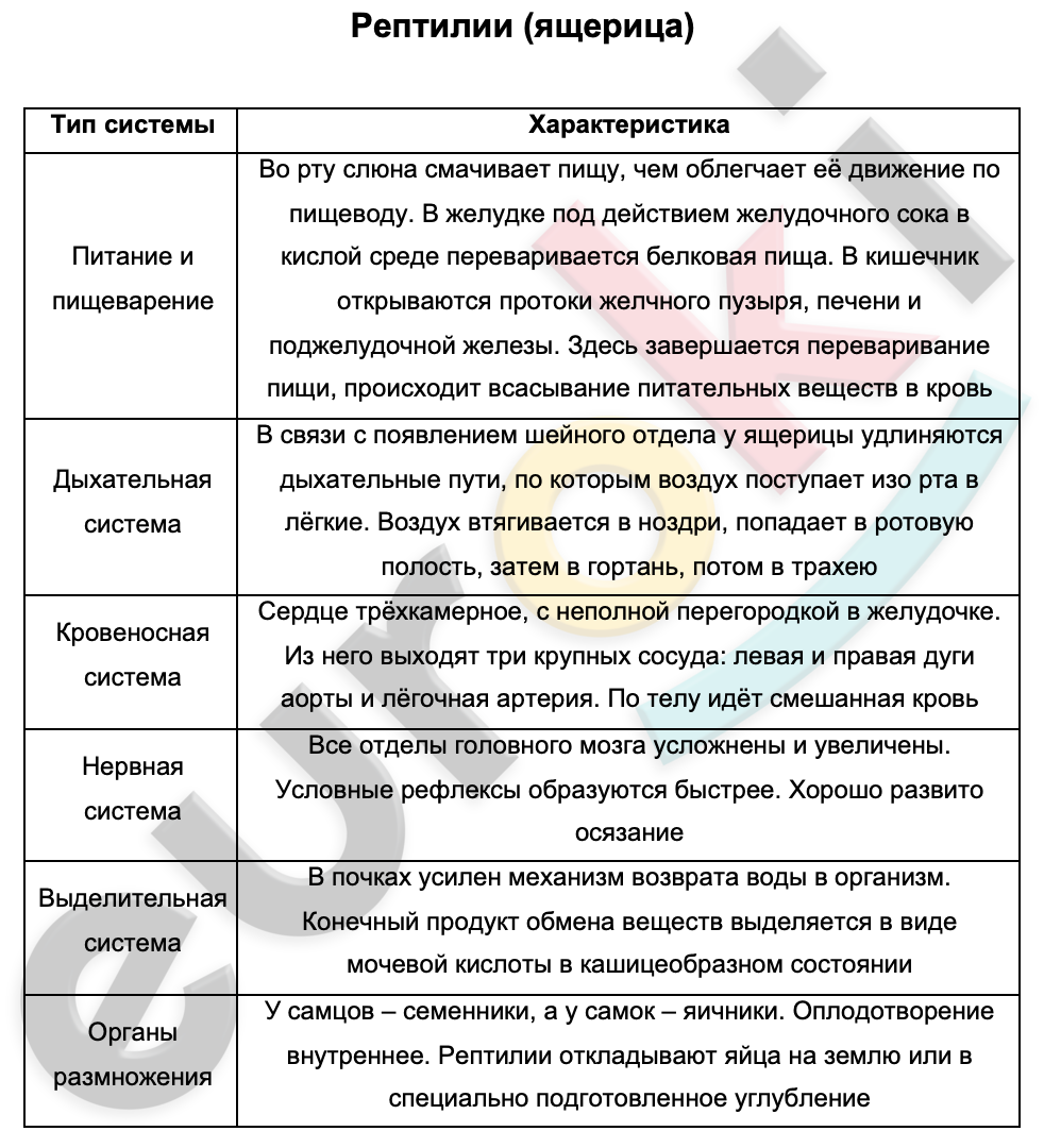 Таблицa по биологии 7 класс Рептилии (ящерица)