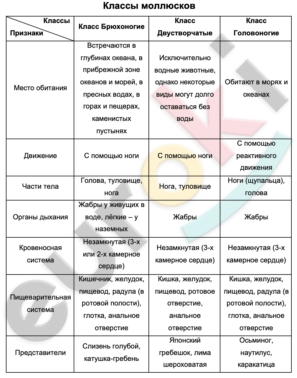 Таблицa по биологии 7 класс Моллюски (классы моллюсков)