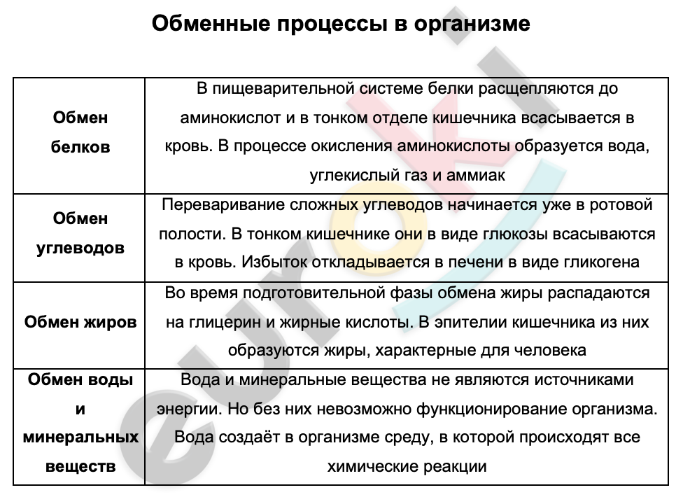 Таблицa по биологии 9 класс Обменные процессы в организме