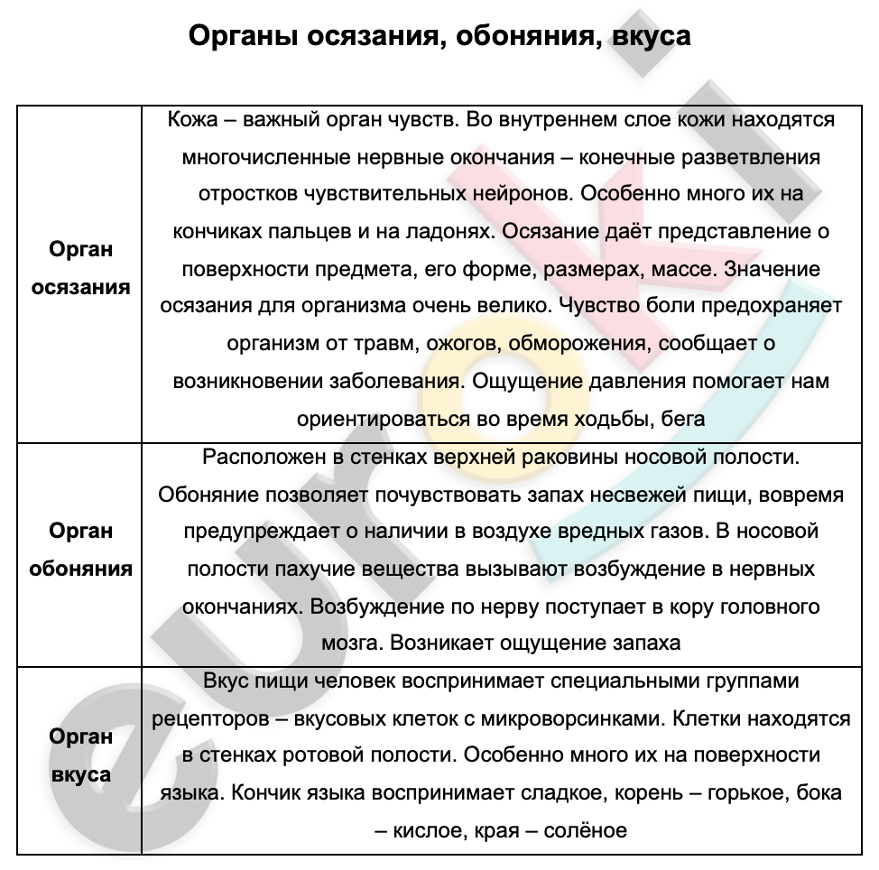 Таблицa по биологии 9 класс Органы осязания, обоняния, вкуса