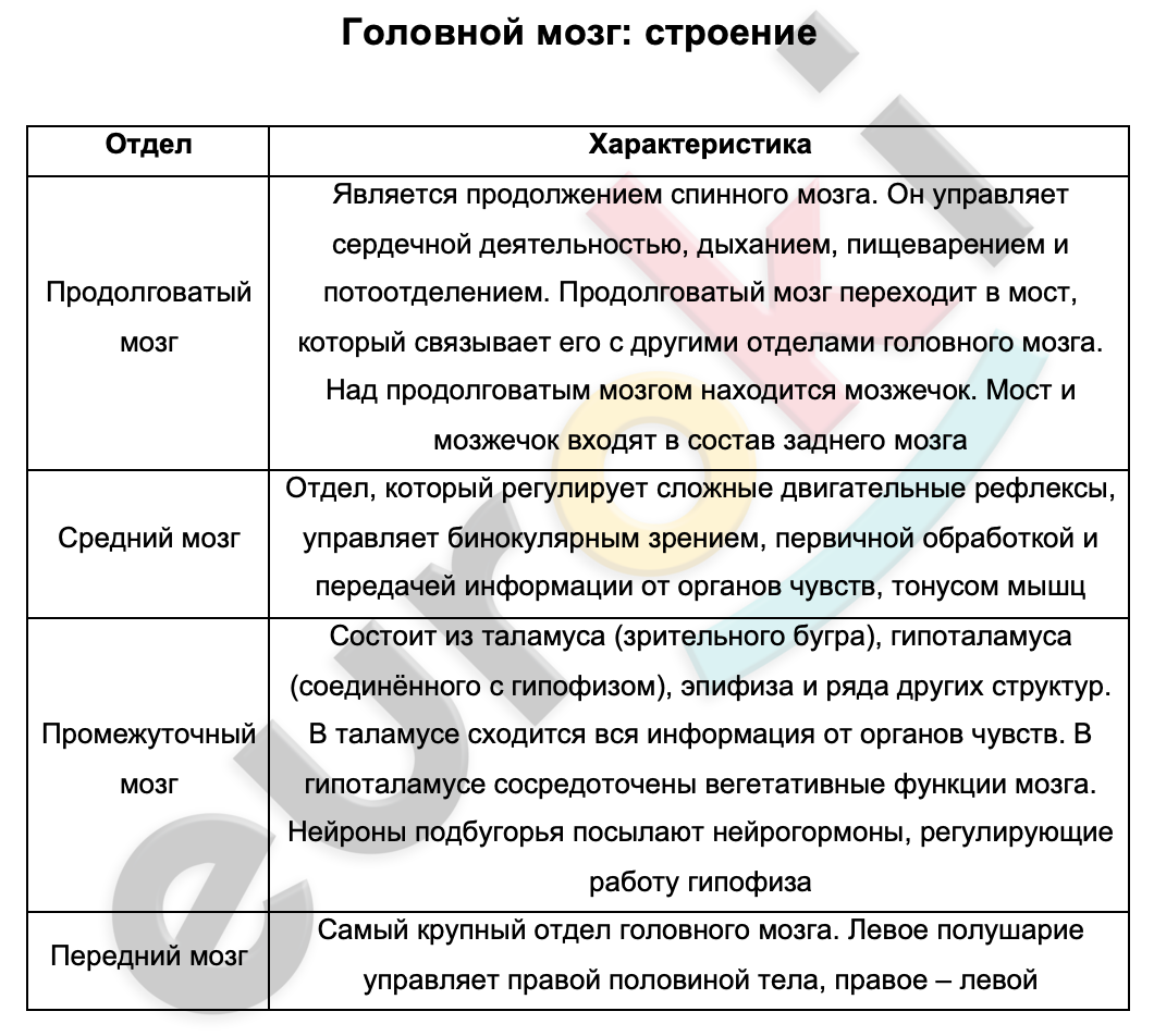 Таблицa по биологии 9 класс Головной мозг: строение