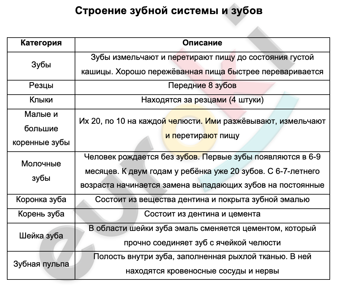 Таблицa по биологии 9 класс Строение зубной системы и зубов