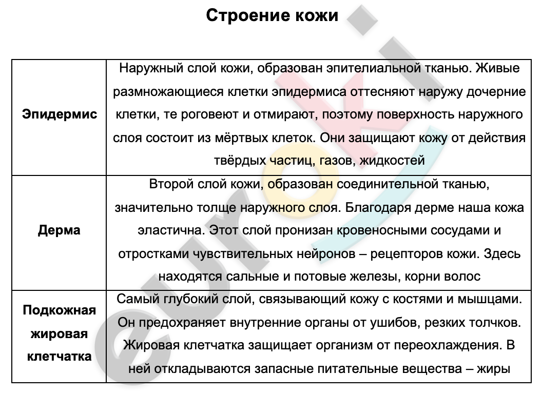 Таблицa по биологии 9 класс Строение кожи