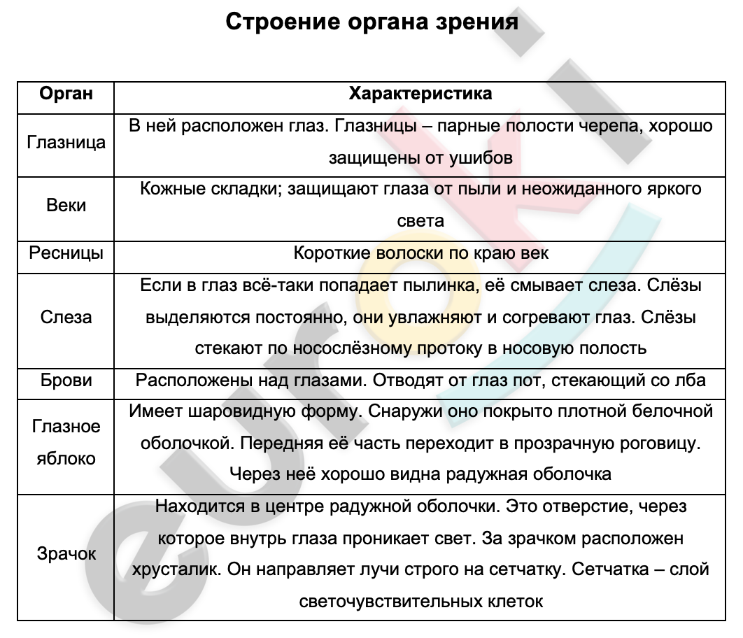 Таблицa по биологии 9 класс Строение органа зрения