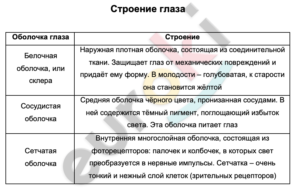 Таблицa по биологии 8 класс Строение глаза