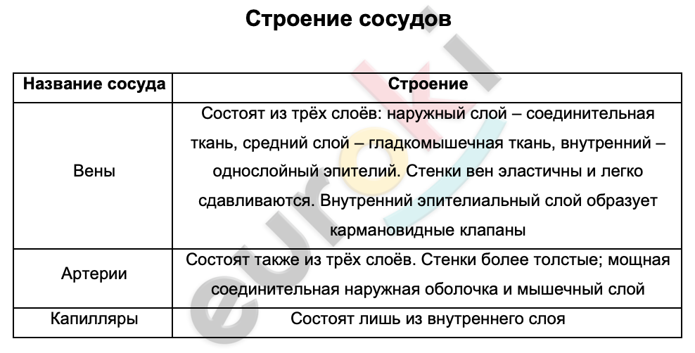 Таблицa по биологии 8 класс Строение сосудов