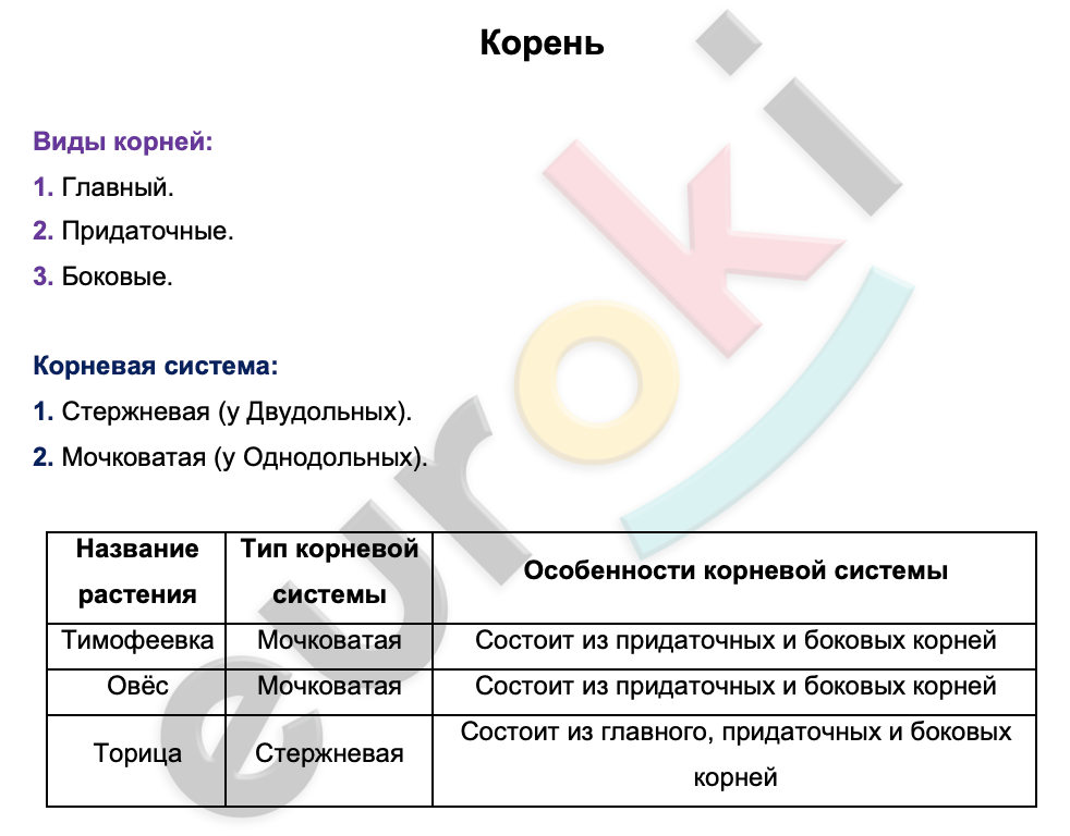 Таблицa по биологии 6 класс Корень