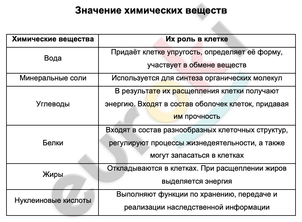 Таблицa по биологии 5 класс Значение химических веществ