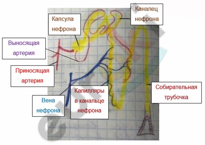 Diagram Description automatically generated