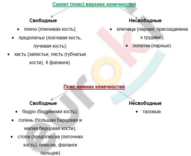 Text, letter Description automatically generated