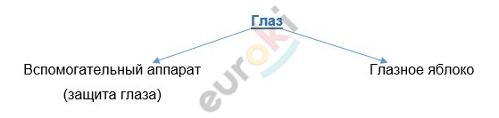 Chart, line chart Description automatically generated