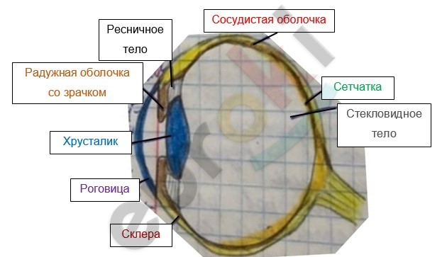 Diagram Description automatically generated