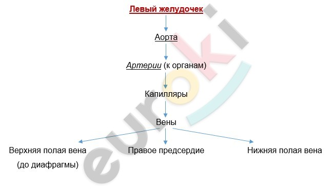 Diagram Description automatically generated