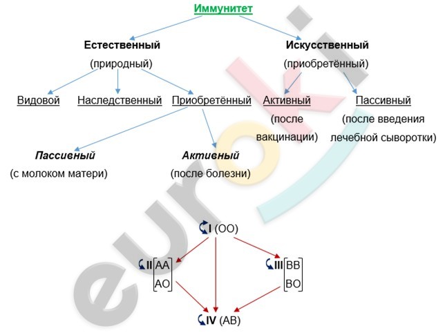 Diagram Description automatically generated