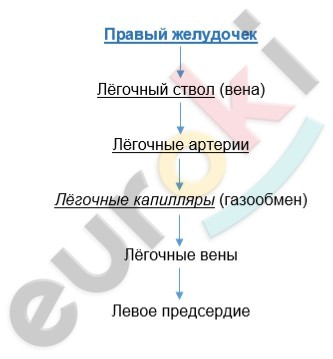 Diagram Description automatically generated