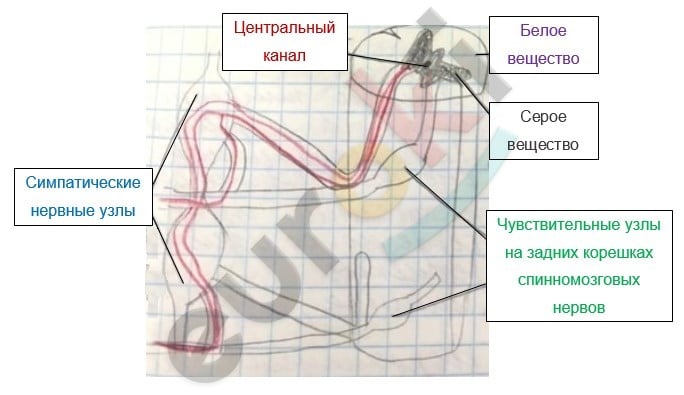 Diagram Description automatically generated