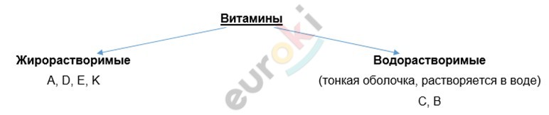 Diagram Description automatically generated with medium confidence