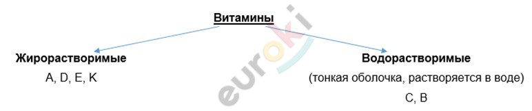 Diagram Description automatically generated with medium confidence