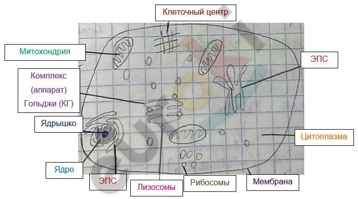 Diagram Description automatically generated