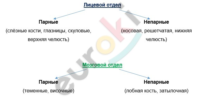 Diagram Description automatically generated