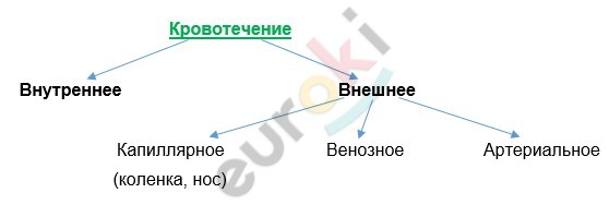 Diagram, radar chart Description automatically generated