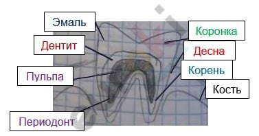 Diagram Description automatically generated