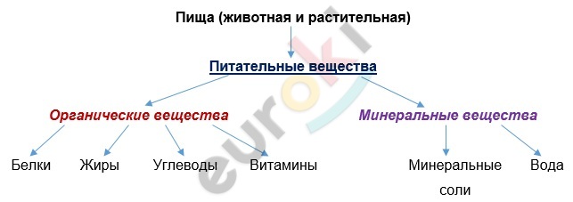 Diagram Description automatically generated