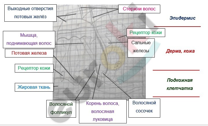 Diagram Description automatically generated