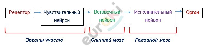 Diagram Description automatically generated