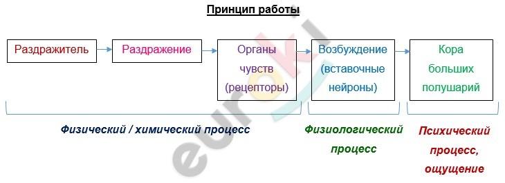 Diagram Description automatically generated