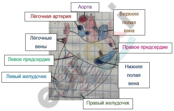 Diagram Description automatically generated