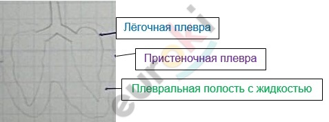 Diagram Description automatically generated