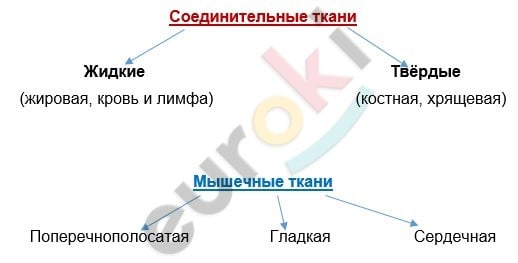 Diagram Description automatically generated