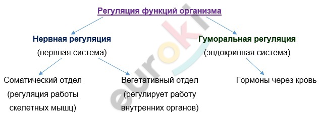 Diagram Description automatically generated