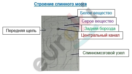 Diagram Description automatically generated