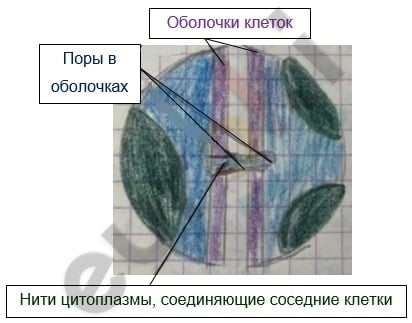 Diagram Description automatically generated