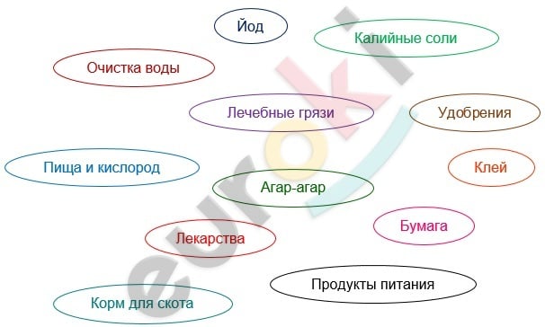 Diagram Description automatically generated