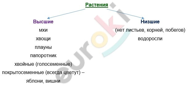 Diagram Description automatically generated