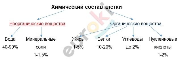 A picture containing diagram Description automatically generated