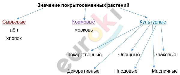 Diagram Description automatically generated