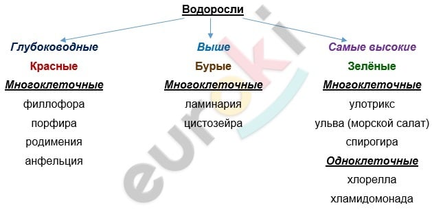 Diagram Description automatically generated