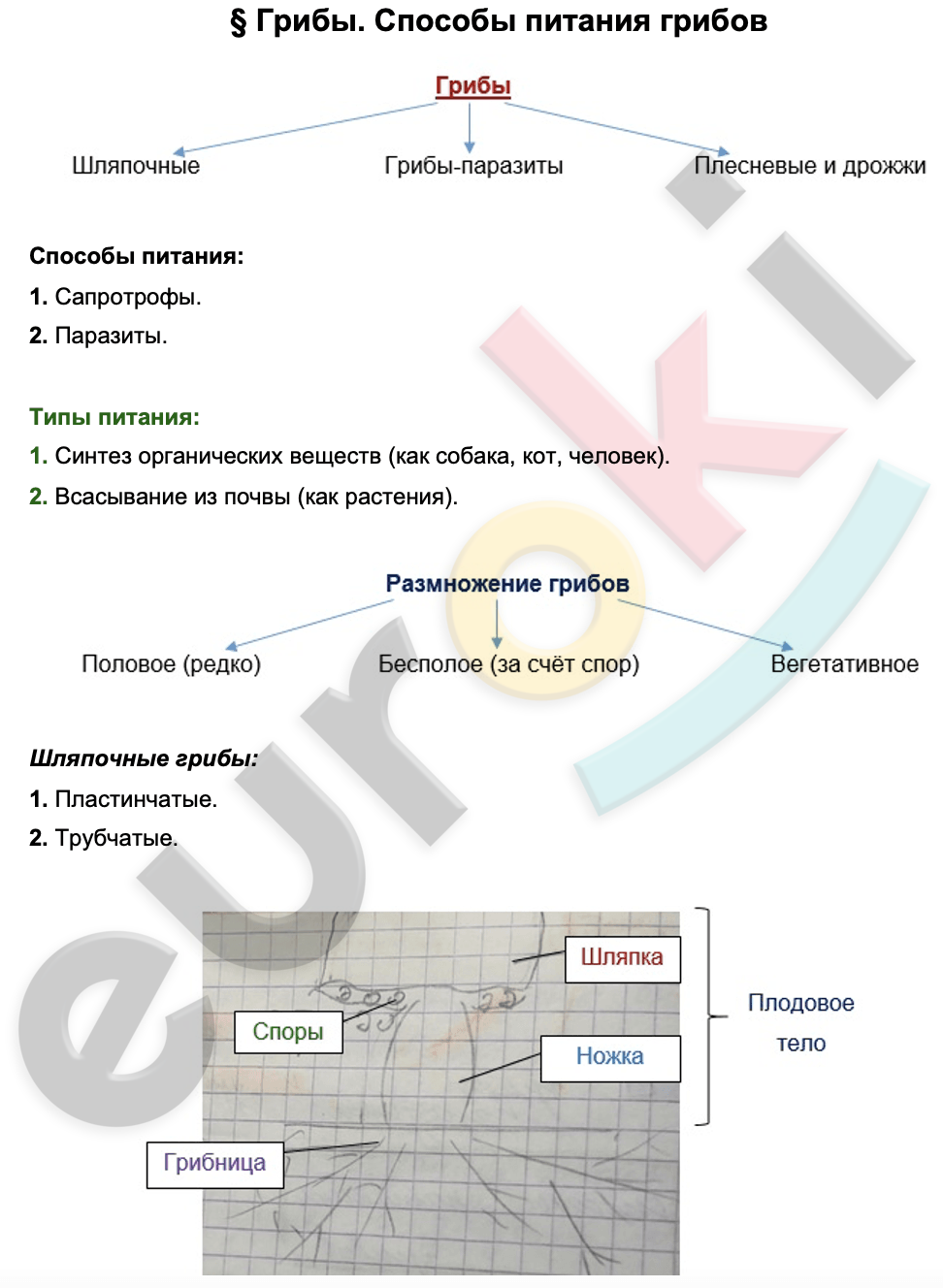 Diagram Description automatically generated