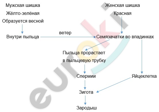 Diagram Description automatically generated