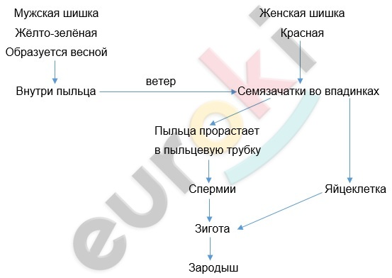 Diagram Description automatically generated