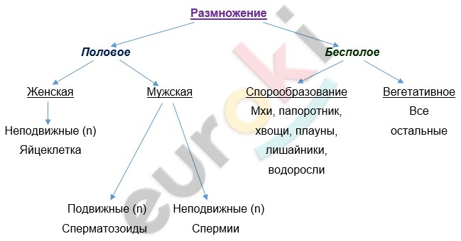 Diagram Description automatically generated