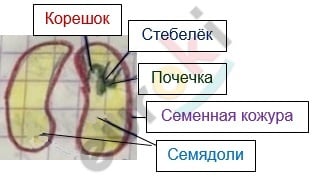 Diagram Description automatically generated