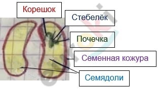 Diagram Description automatically generated