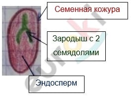 Diagram Description automatically generated